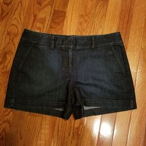 NWT Loft Denim Shorts